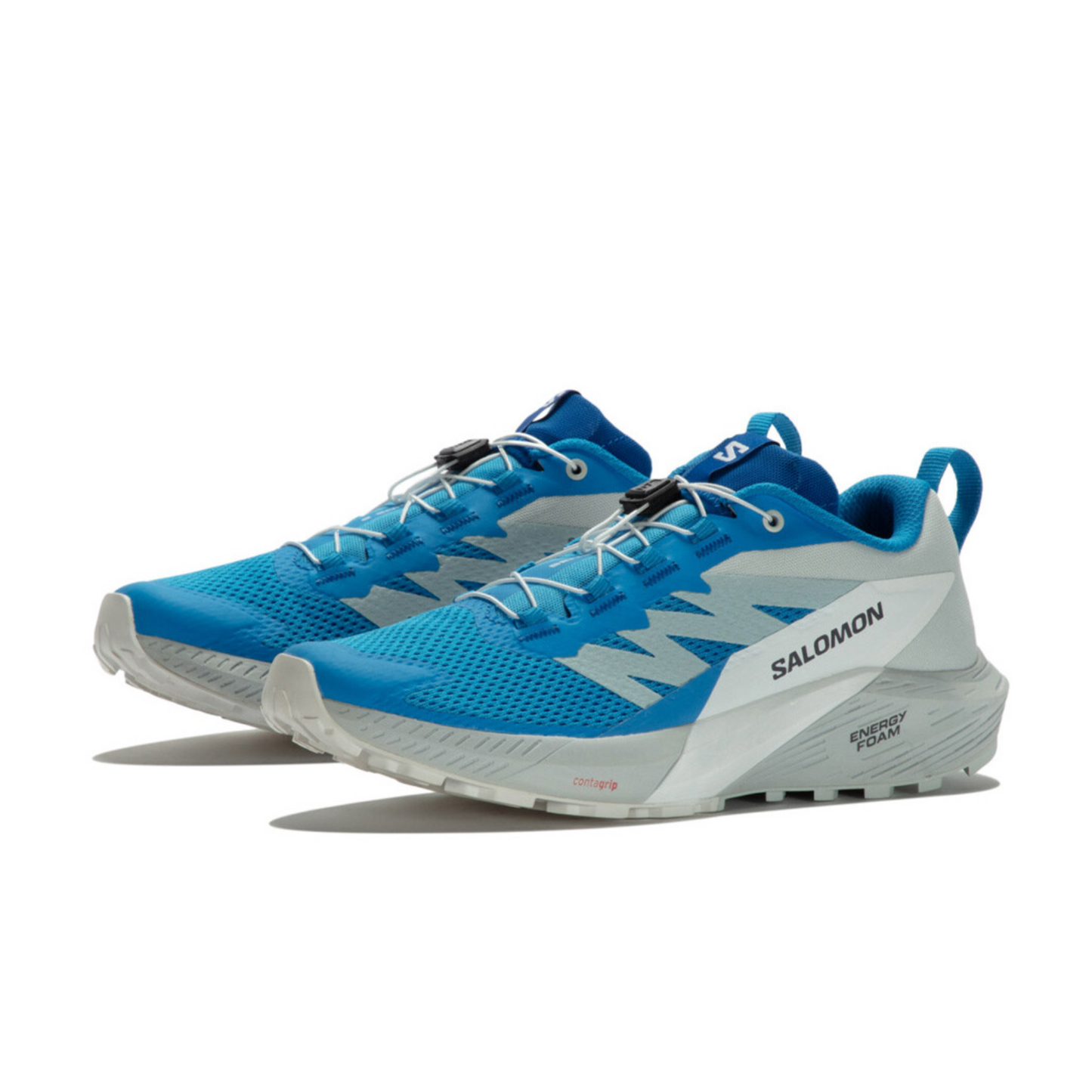 Salomon Men's Sense Ride 5 Trail Running Shoes (473118)