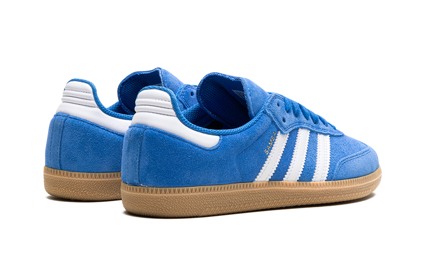 Samba Adv "Blue Bird"